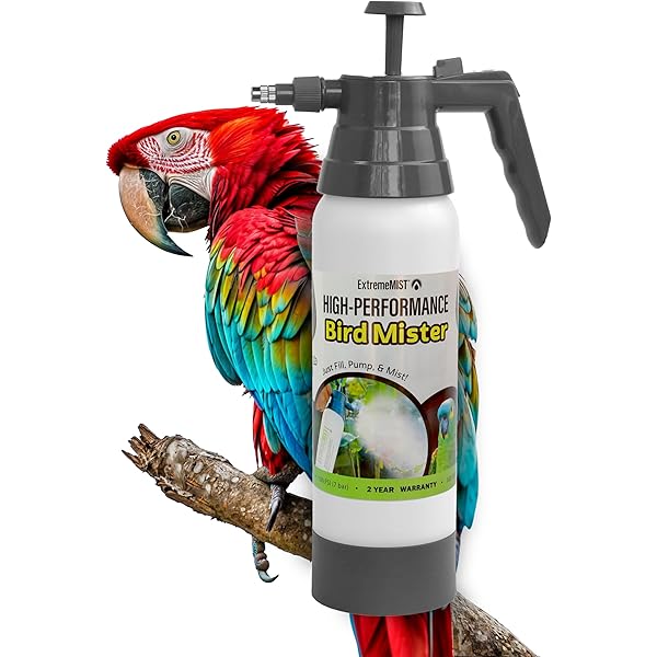 Libro Da Colorare Cacatua Pappagallo Nella Foresta Pluviale | Vettore - Foto 4