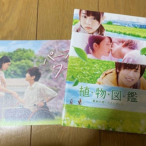 Amazon 岩田剛典 映画 パンフレット フライヤー付き 植物図鑑 アイドル 芸能人グッズ 通販