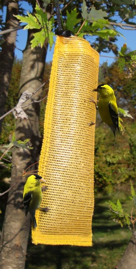 Birds Seed Guards Catchers Pacific Bird Nyjer Seed Feeder Finch