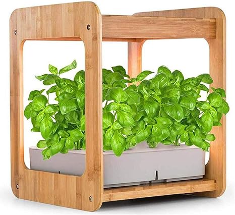Amazon Co Jp 竹フレーム植物成長ボックスキャビネット水耕プランター水耕栽培ガーデンシステムキットを備えた屋内ガーデニング成長ライト ホーム キッチン