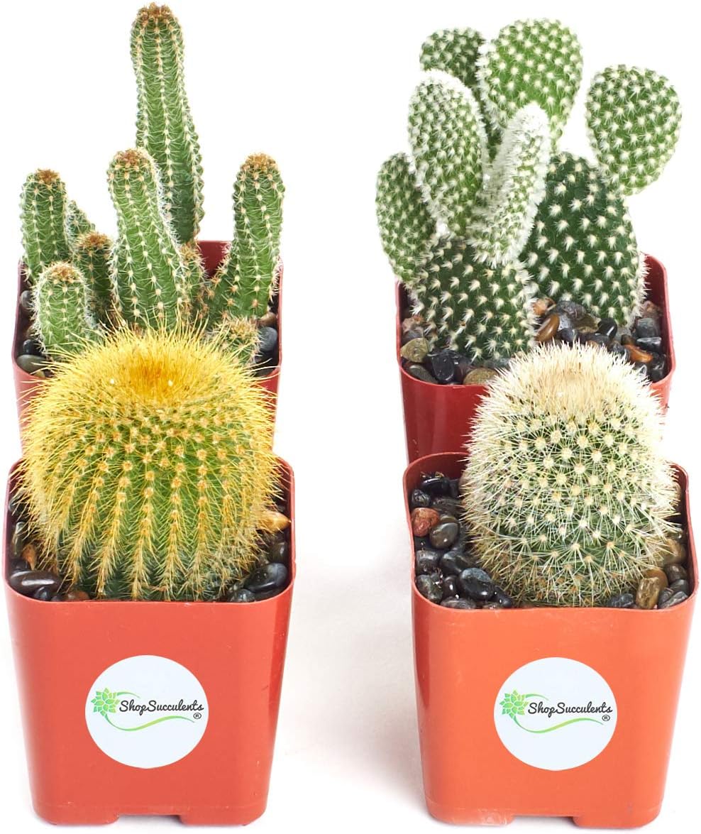 relojes inteligentes niños amazon