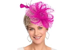 HIWIND Fascinators Hat Women Tea Party Headband Flower Cocktail Mesh Feathers Hair Clip Kentucky Derby Hat Wedding