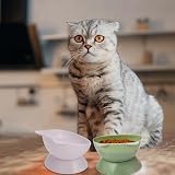 umorismo 3 Pcs Raised Cat Bowls Elevated Stand 15° Tilt Whisker Friendly view 3