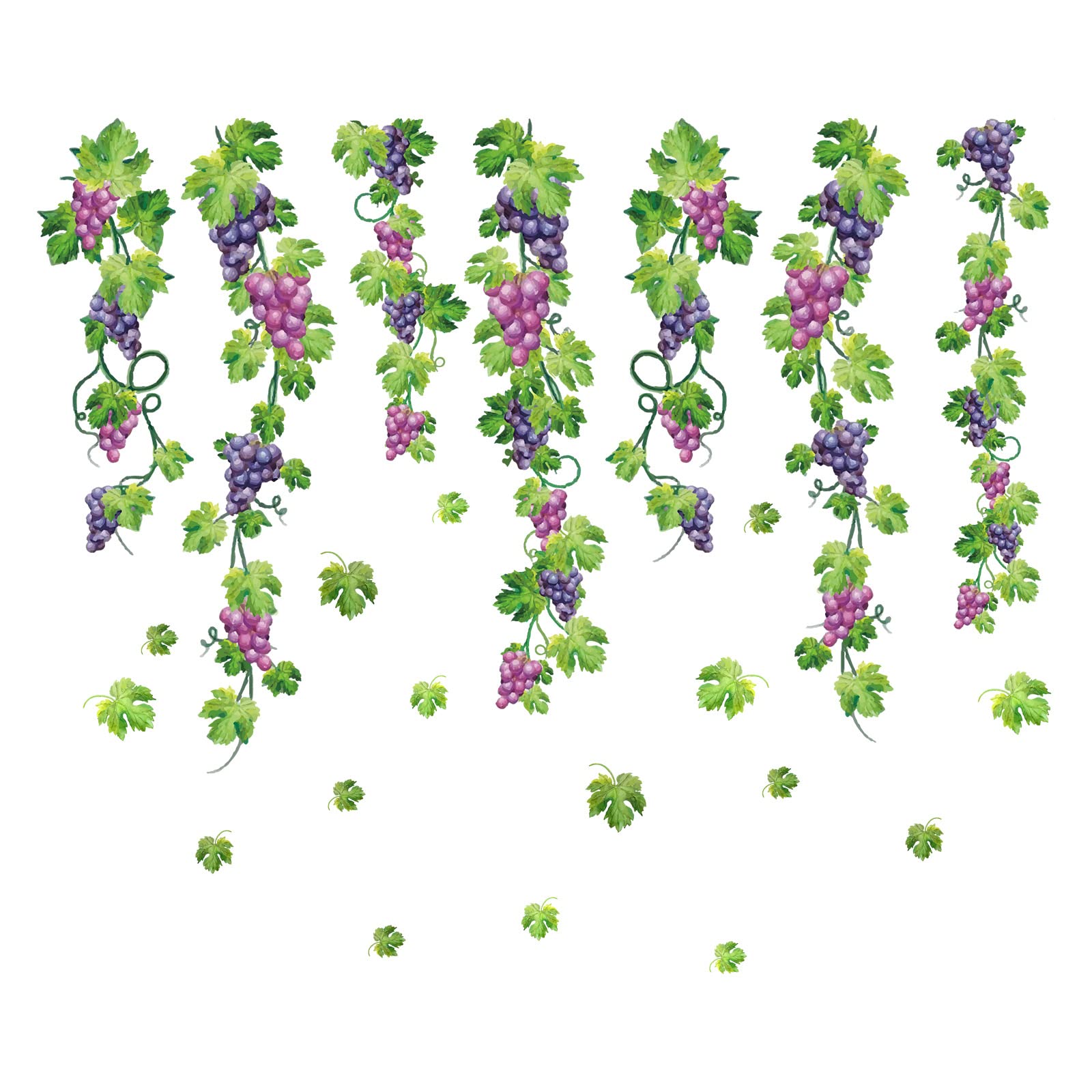 SUPERDANT Grapes Vine Colorful Sticker DIY Color Fruit Wall Sticker Peel and Stick Children's Bedroom Nursery Living Room Baby Room Mural Decoration