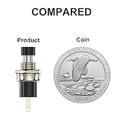 DIYhz Momentary Push Button Switch, 1A 250VAC SPST