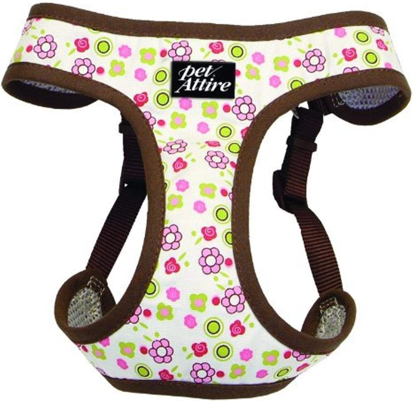 small dog breeds that live long