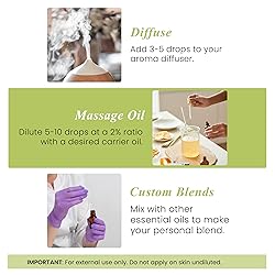 Handcraft Blends Lemongrass Essential Oil – 1 Fl