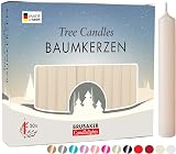 BRUBAKER 100 Pack Tree Candles Pyramid Christmas Scent Champagne 9.5cm