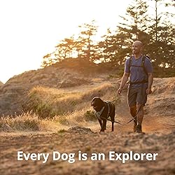 Ruffwear, Front Range Dog Harness, Reflective Soft
