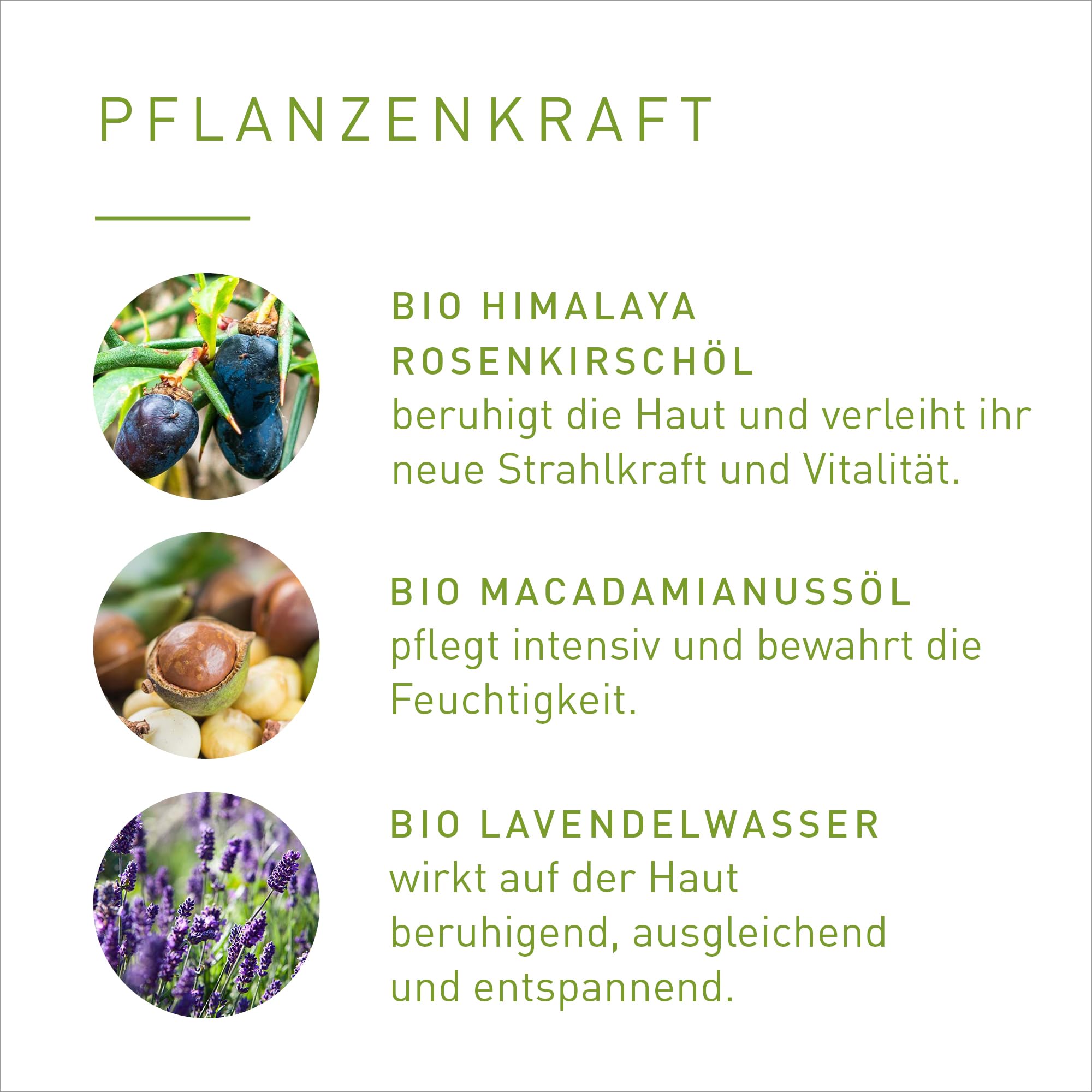 PRIMAVERA Pure Entspannung Cremedusche 200 ml – Duschgel, Duschbalsam, Naturkosmetik – Lavendel, Vanille Duft – reinigt sanft, beruhigt, pflegt – vegan 5