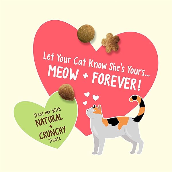 PURINA FRISKIES MADE IN USA FACILITIES, NATURAL CAT TREATS, PARTY MIX NATURAL YUMS CATNIP FLAVOR – 20 OZ. CANISTER