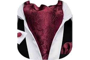 Barry.Wang Men Ascot Cravat Tie with Pocket Square Cufflinks Tie Set Paisley Jacquard Silk Woven Floral Necktie