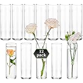 Small Flower Vase Set of 12: Glasseam Cylinder Glass Bud Vases for Centerpieces Wedding Party Table 5.9In Modern Clear Vases for Flowers Single Stem Roses Tulips