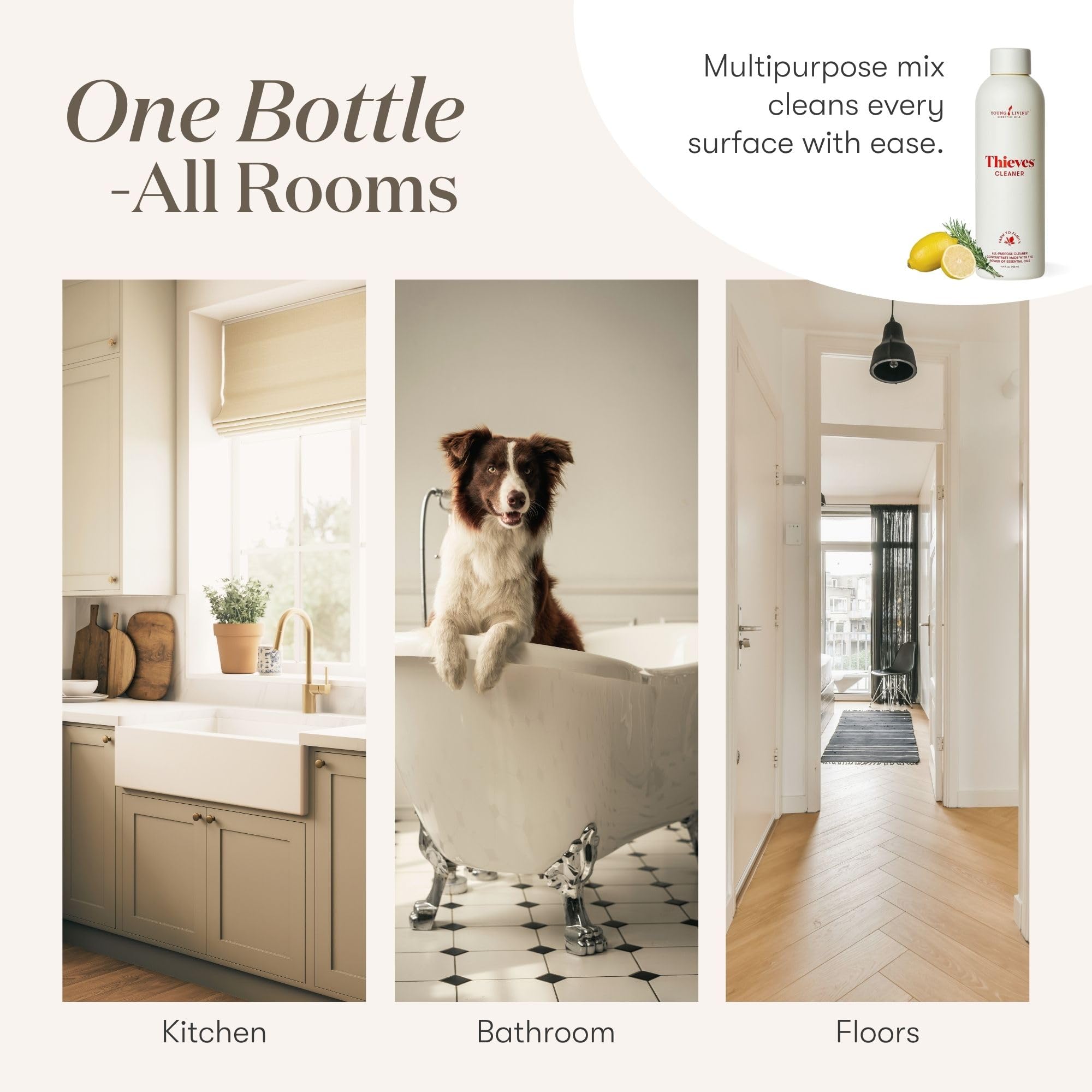 Thieves Household Cleaner | 14.4 oz | Plant-Based Multi-Surface Solution Infused with Essential Oils | Dilute for Floors, Carpets, Glass, Counters, Appliances, and General Home Cleaning