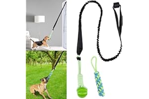 Eaersan Spring Pole Dog Rope Toys,Dog Interactive Tether Tug of War Toy,Dog Indoor/Outdoor Bungee Hanging Toy for Exercise and Solo Play for Small Medium to Large Dogs（1 Chew Rope 1 Dog Rope Ball ）