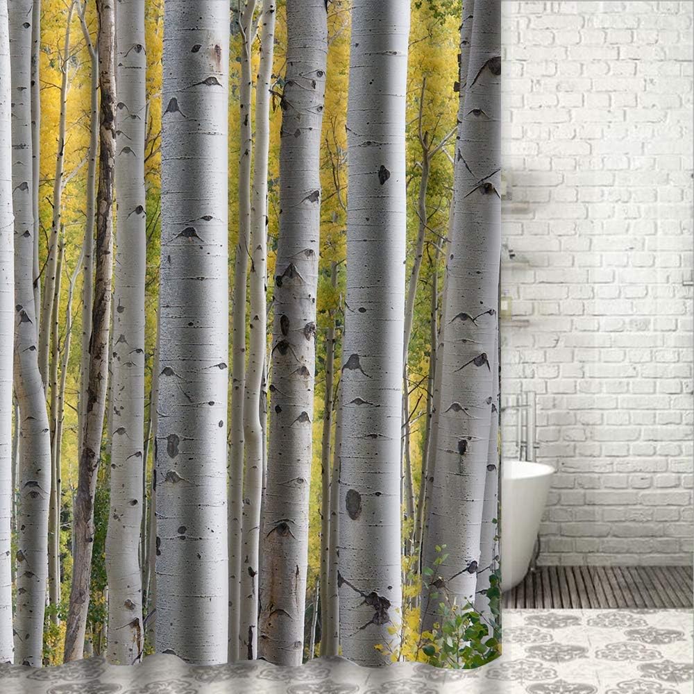 JIACURTAIN Duschvorhänge Birke Wald Fragment Stämme Wasserdichtes Anti
