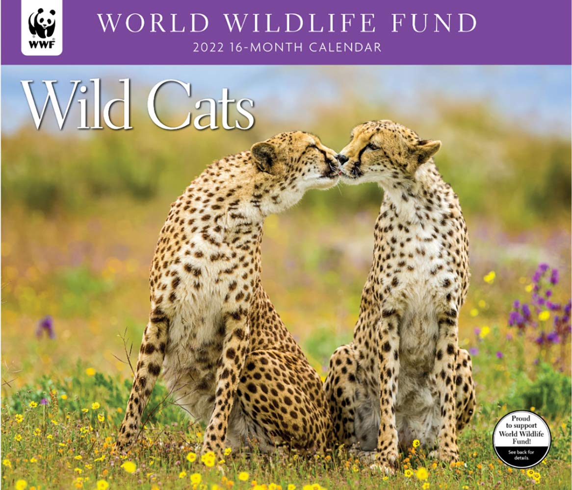 Calendrier 2023 Wwf Wild Cats Wwf 2022 Wall Calendar: World Wildlife Fund: 9781645912057:  Amazon.com: Books