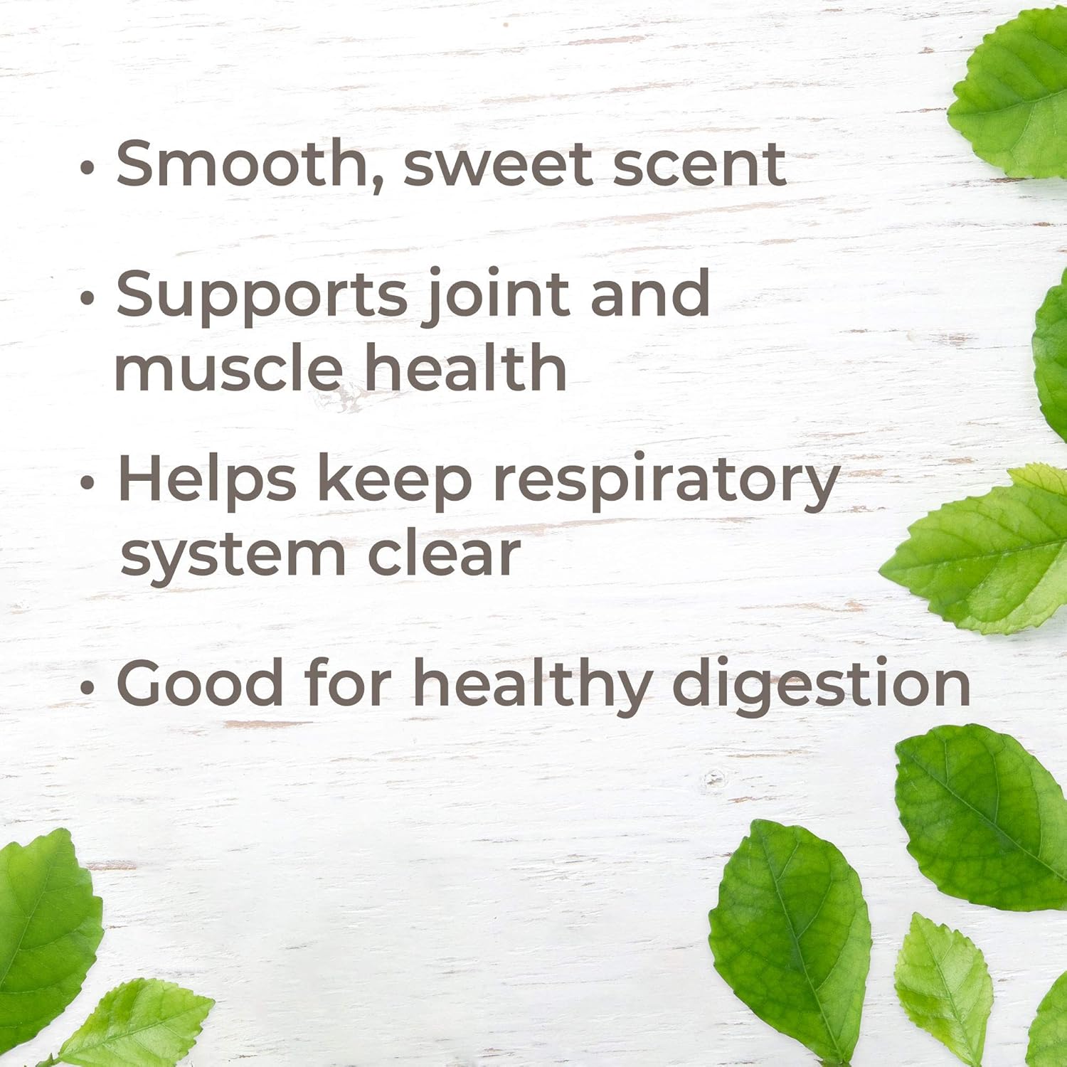 Plant Therapy Copaiba Oleoresin Organic Essential Oil 100% Pure, Undiluted, Natural Aromatherapy, Therapeutic Grade 10 mL (1/3 oz) : Beauty