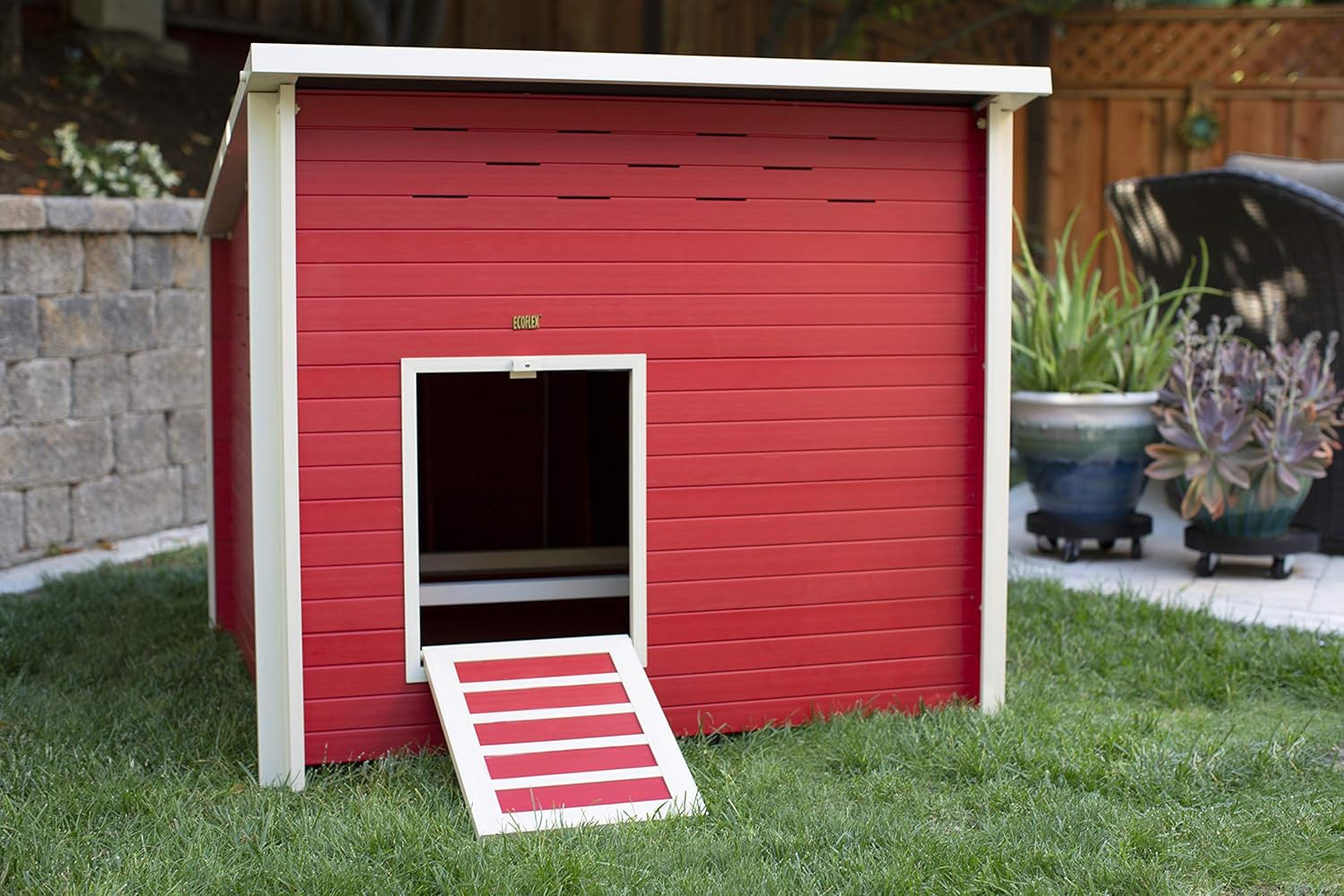 Best Chicken Coop 2020 List Of Chicken Coops That Doesn T Suck