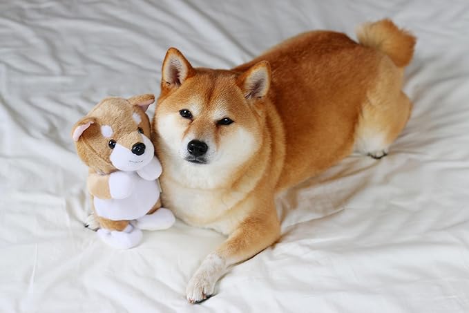 Amazon ウォーキングトーキングパピー柴犬 レギュラー ぬいぐるみ おもちゃ Amazon ウォーキングトーキングパピー柴犬 レギュラー ぬいぐるみ おもちゃ