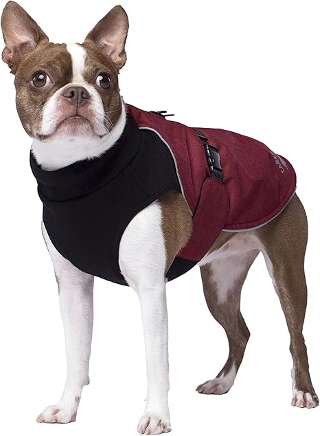 canada pooch jackets uk