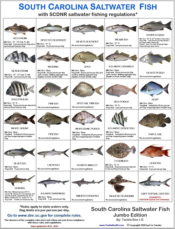 Tackle Box I.D. South Carolina Saltwater Fish