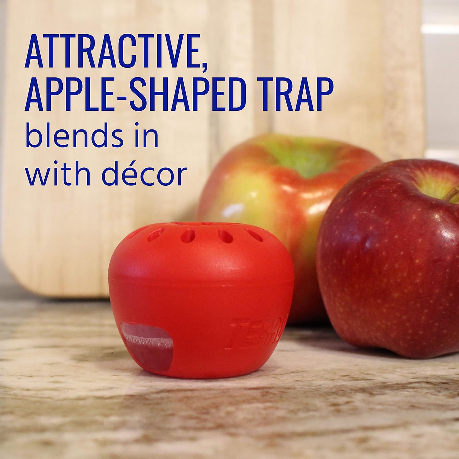 TERRO T2502 Fruit Fly Trap – 2 traps : Garden & Outdoor