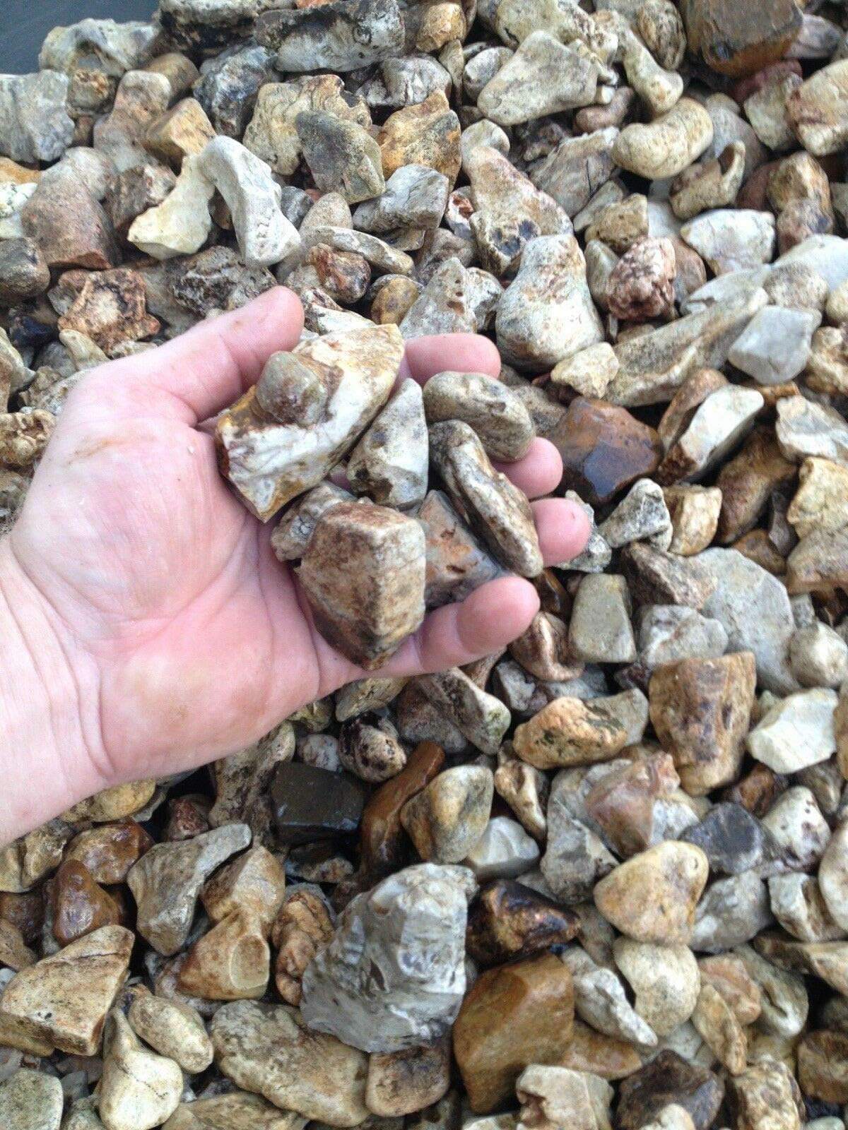 wakatobi Bulk Wholesale Small Medium Large Driftwood Pieces of Driftwood