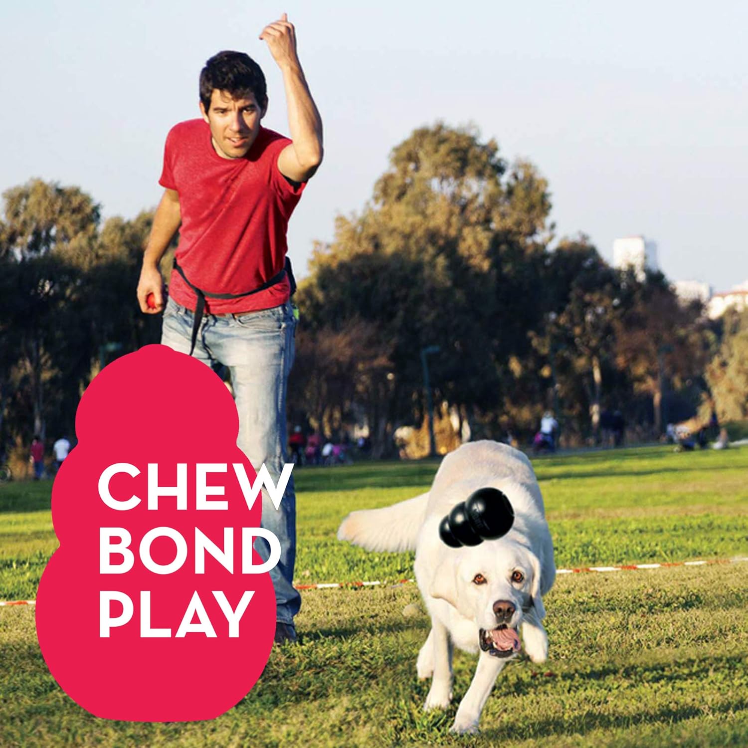 Pet Supplies : Pet Chew Toys : KONG - Extreme Dog Toy - Toughest Natural Rubber, Black - Fun to Chew, Chase and Fetch - for Large Dogs : 