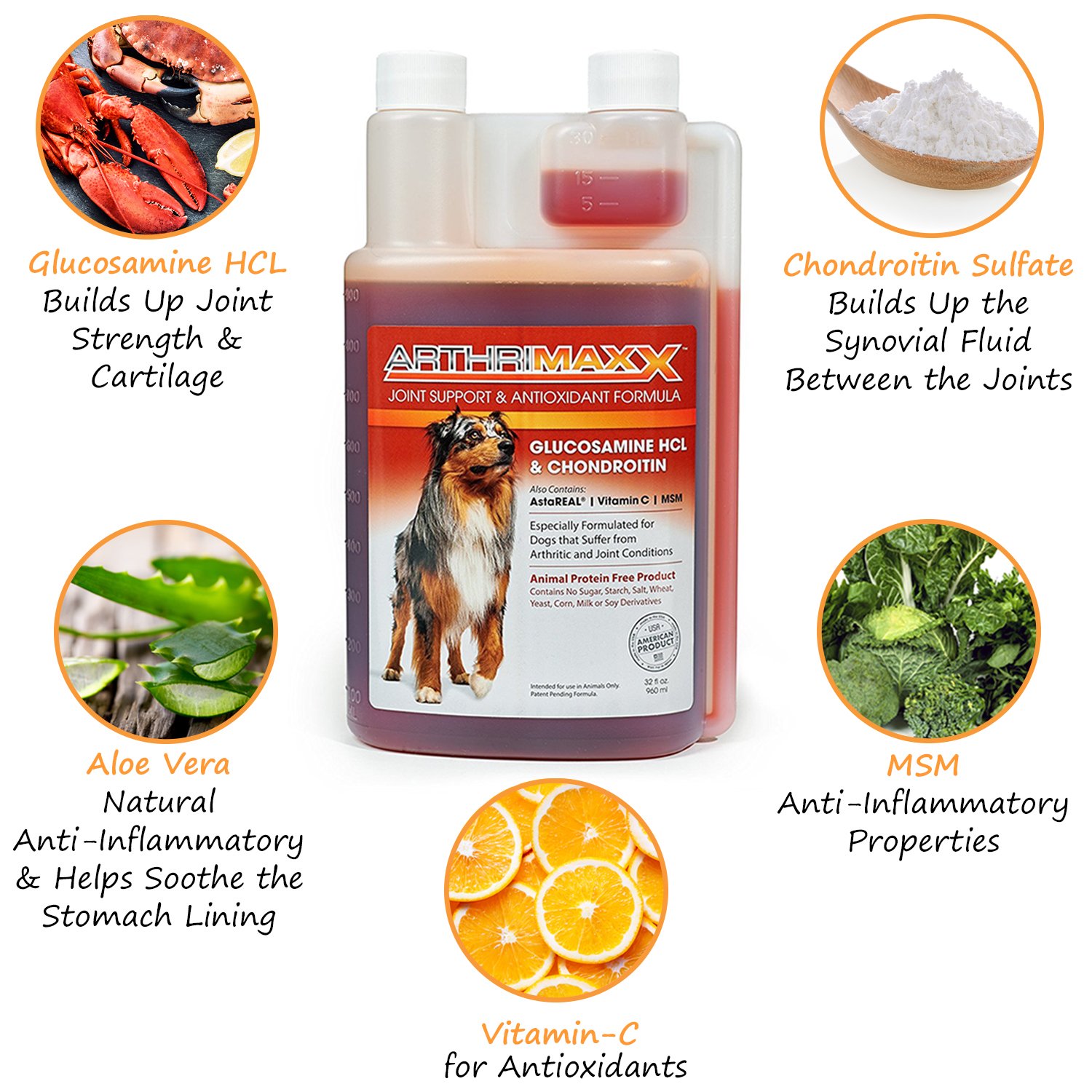ArthriMAXX Liquid Joint Protection Supplement for Dogs, 32 Oz. Bottle