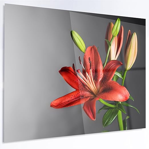 Designart Mt14227 28 12 Mignon Fleur De Lys Rouge Sur Noir Fleurs Brillant Decoration Murale En Metal 28 X 12 Rouge Noir 28 X 12 28x12 Amazon Ca Maison Et Cuisine