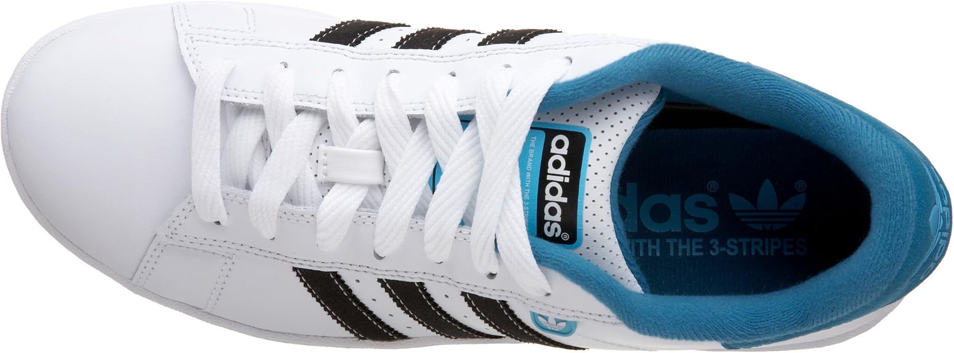 adidas campus evolution