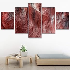 SIGNWIN 5 Panel Canvas Wall Art Modern Art...
