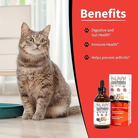 liquid probiotics for cats