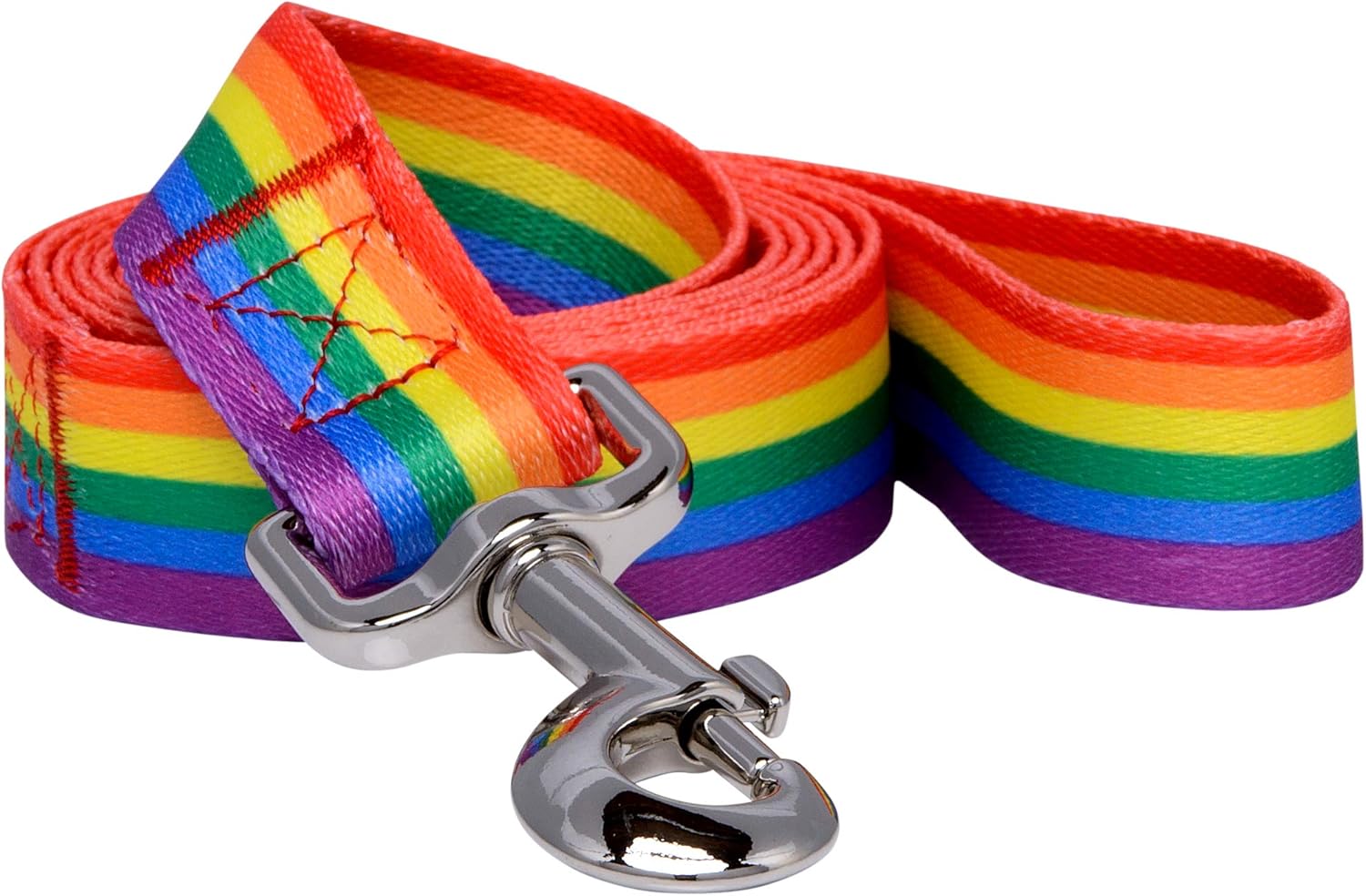 dog school for aggressive dogs