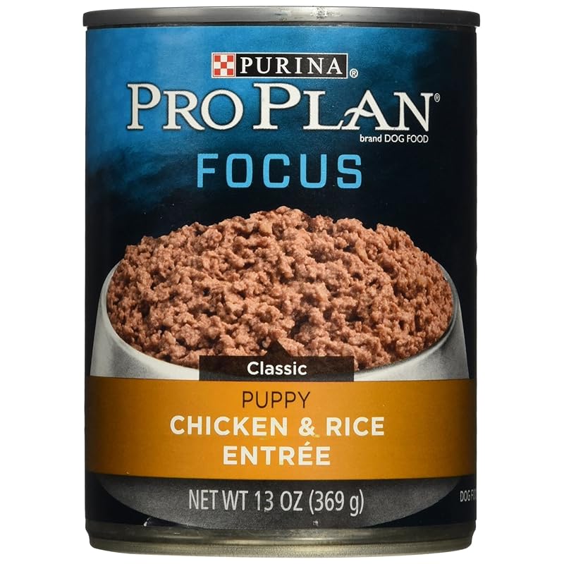 Best Puppy Food for Goldendoodle TOP 5 Reviews