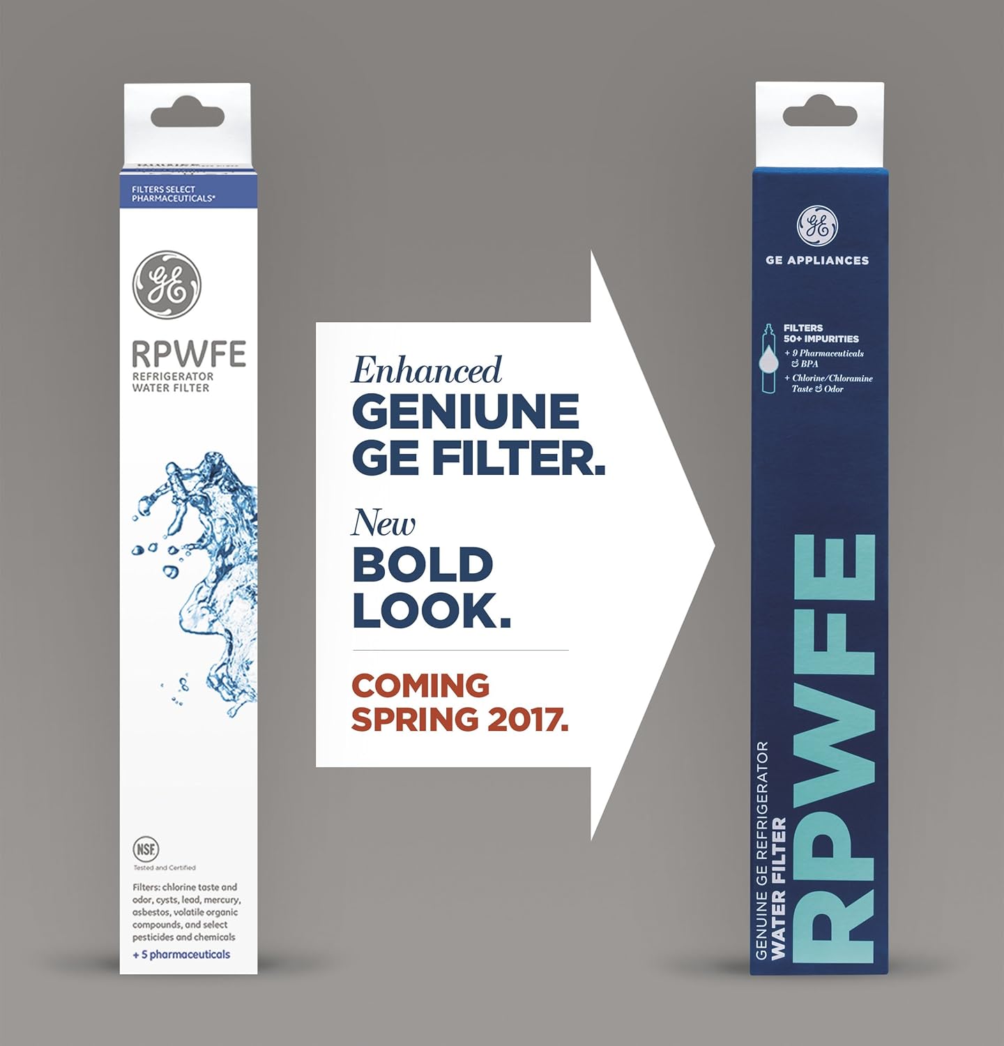 GE RPWFE Refrigerator Water Filter: Appliances