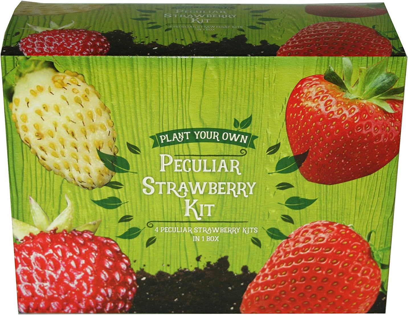 Padgett Bros Peculiar Strawberry Kit Multi 82015 - Image 3