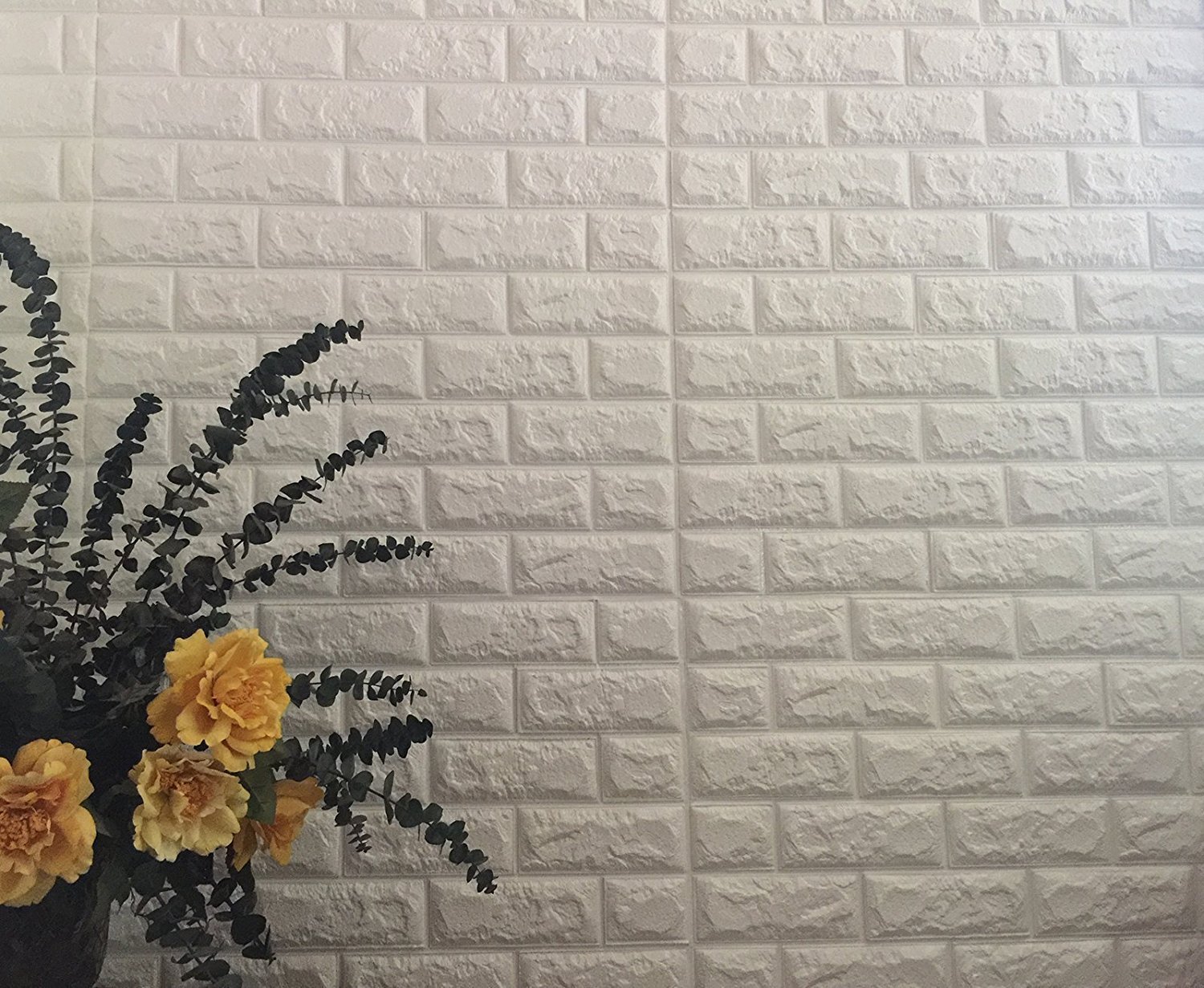 https://images-na.ssl-images-amazon.com/images/I/81%2BBANXXy0L.jpg