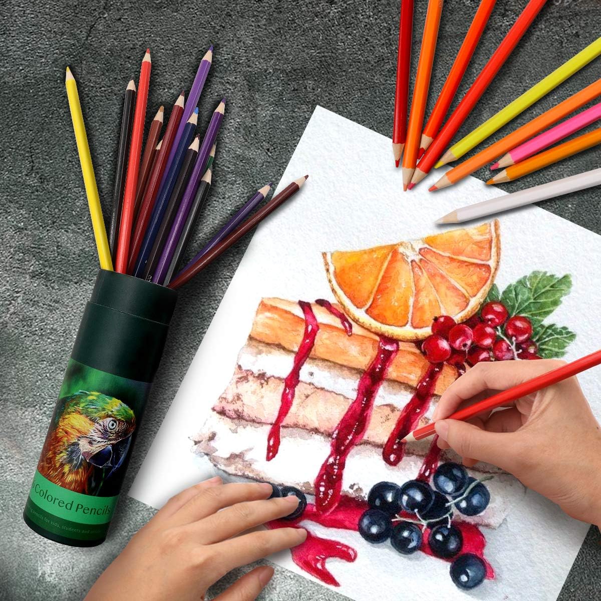 Colouring Pencils, 24 Pcs Professional Coloured Pencils Drawing Pencils, Oil-based Artist Pencil Set, No Wax, Ideal for Sketching, Doodling, Painting, Writing, Pre-sharpened… : Office Products