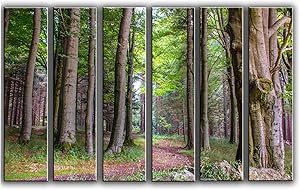 X-Large 6 Piece Forest and Trees Wall Art Decor Picture Painting Poster Print on Canvas Panels Pieces - Nature Theme Wall Decoration Set - Trees Wall Picture for Living Room 44 by 67 in