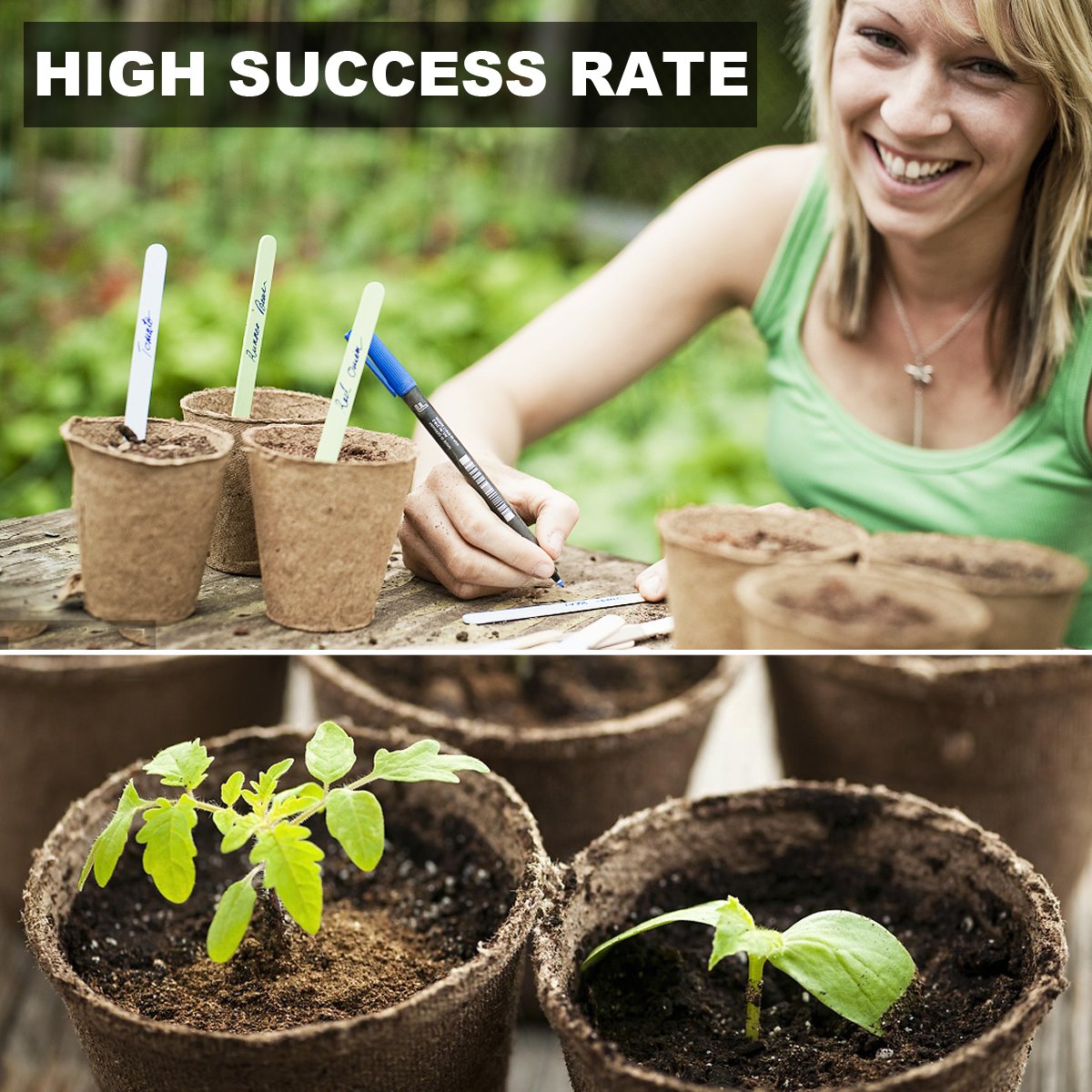 Vegetable Garden Seed Growing Starter Kit Indoor for Kids Easily Grow 5 Fresh Veggie Garden Kit Tomatoes,Purple Carrot,Rainbow Chard,Brussel Sprout Shipping from US