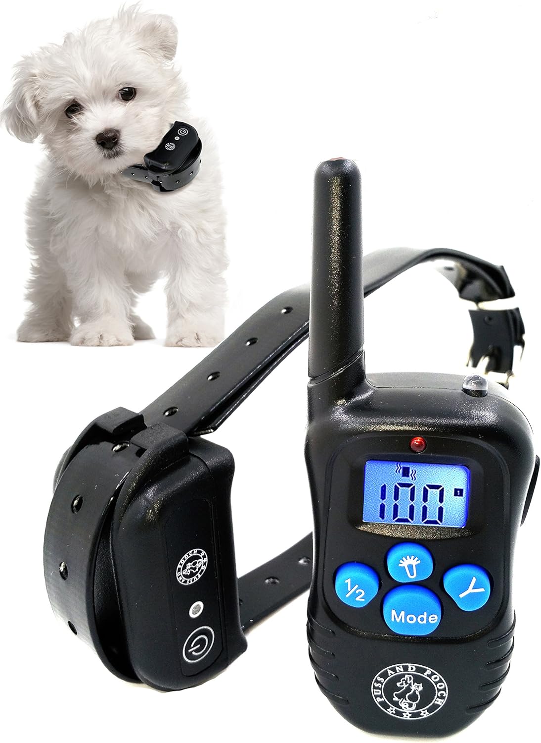 designer dog blankets