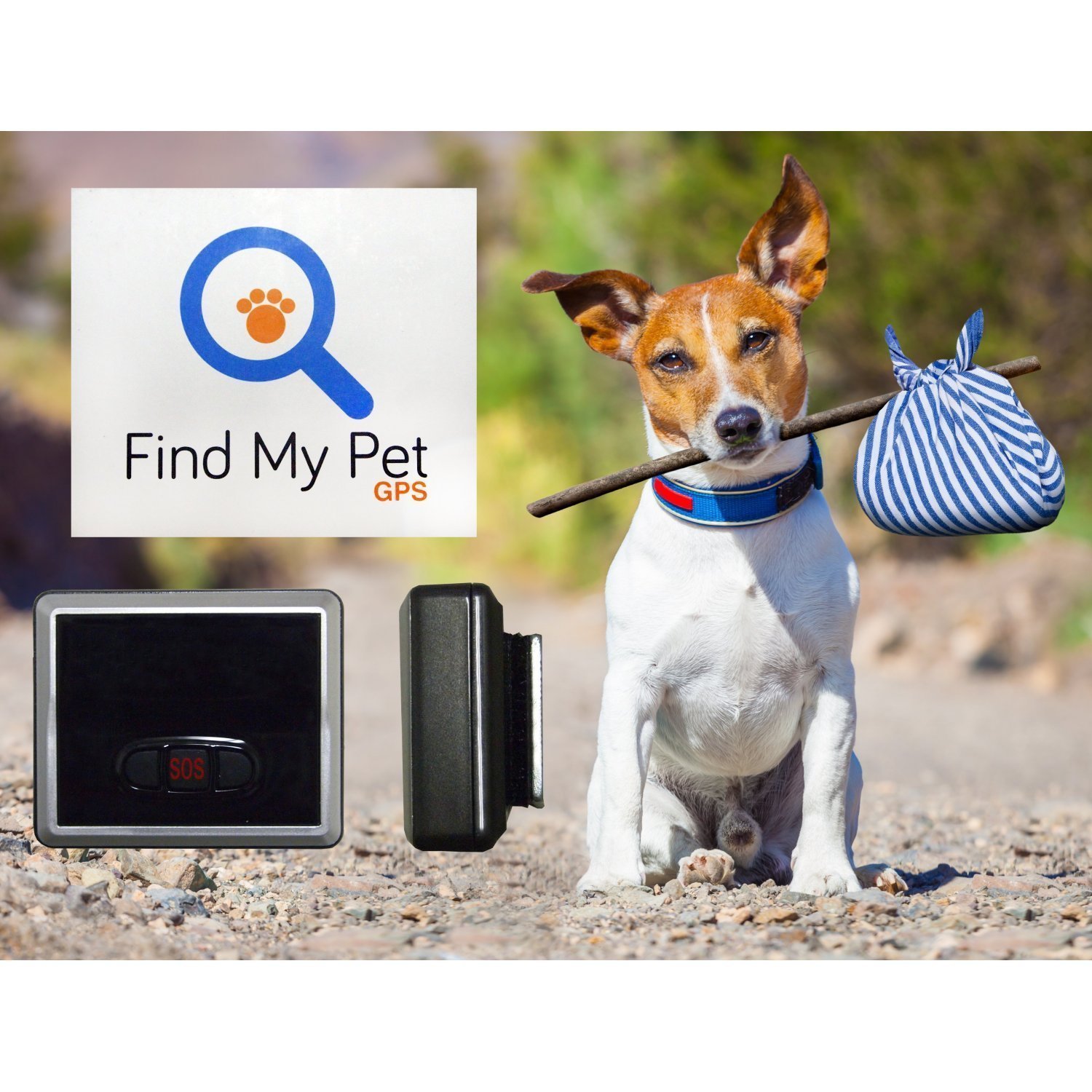 Find my dog gps Clearance