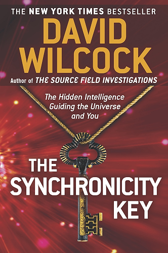 Download The Synchronicity Key: The Hidden Intelligence Guiding the Universe and You (English Edition) PDF