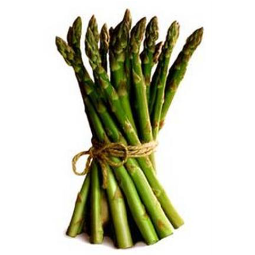 Asparagus, its Culture for Home Use and for Market