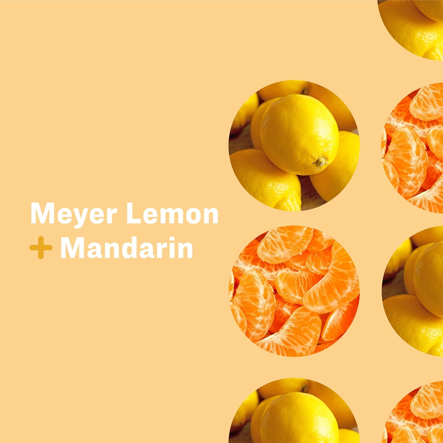 Everyone Hand Soap: Meyer Lemon and Mandarin, 12.75 Ounce, 3 Count - Packaging May Vary : Beauty