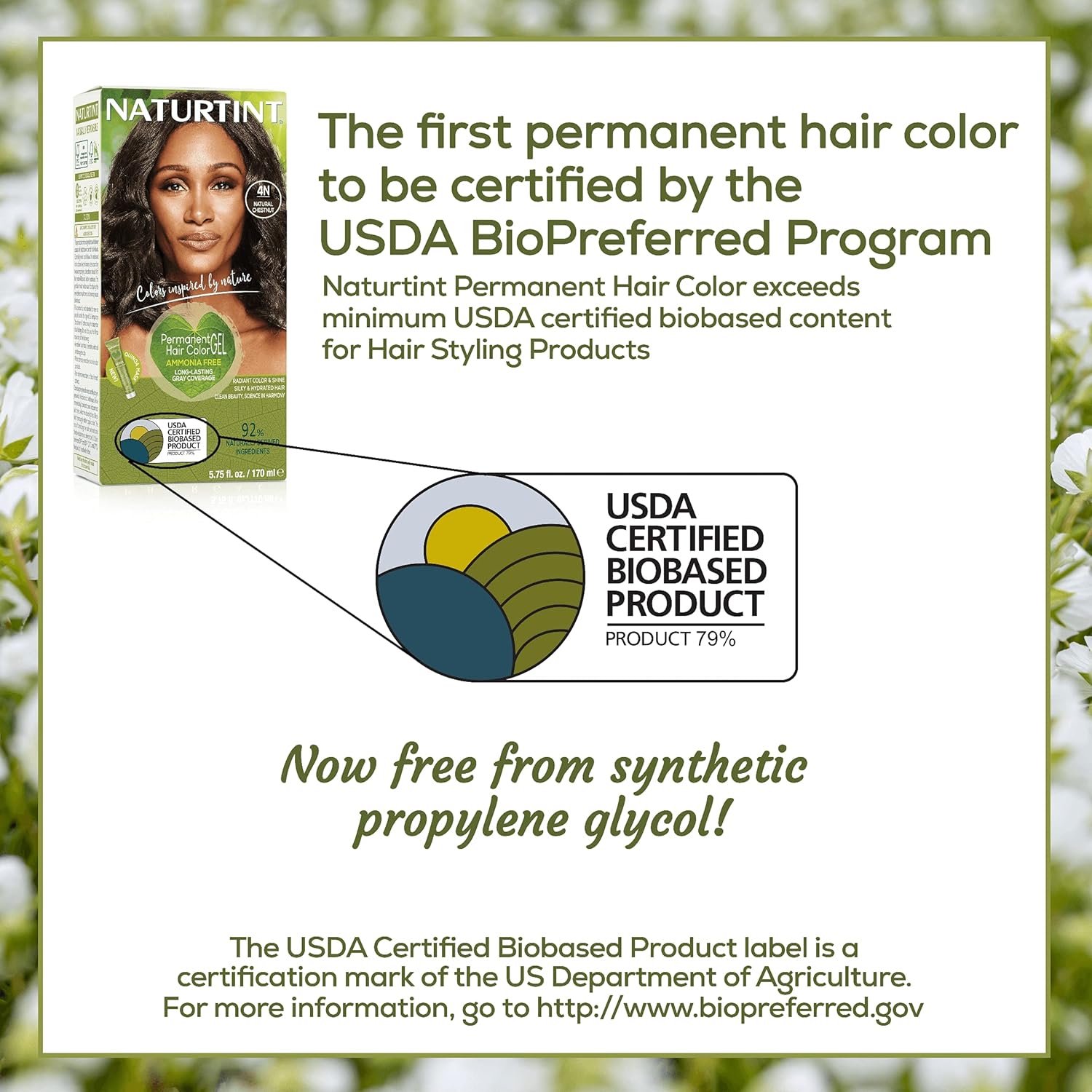 Naturtint Permanent Hair Color 4N Natural Chestnut (Pack of 1), Ammonia Free, Vegan, Cruelty Free, up to 100% Gray Coverage, Long Lasting Results : Chemical Hair Dyes : Beauty