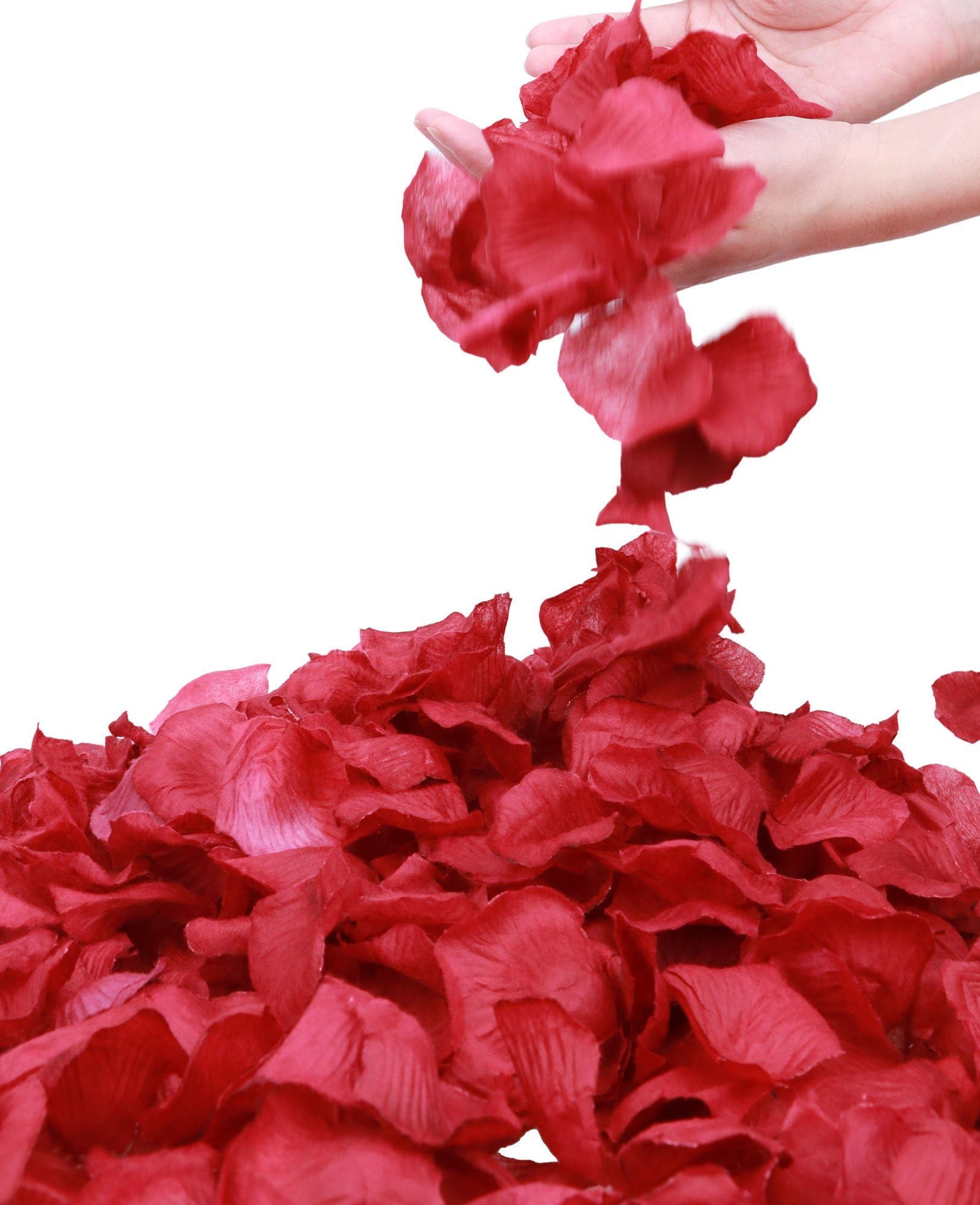 Jasmine 1000 Pieces Seperated Dark Red Non-Woven Rose Petals Artificial Flower Petals for Wedding Confetti Valentine Day Flower Deor,Dark Red