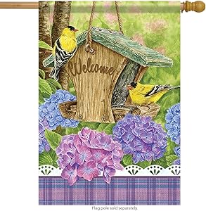 Carson Home Accents Flagtrends Classic Large Flag, Finch Feeder